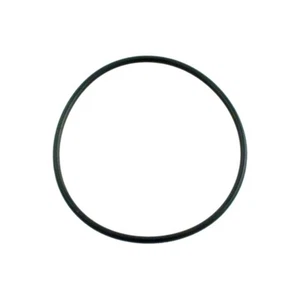 Waterway 805-0238B Diffuser O-Ring - Picture 1 of 3
