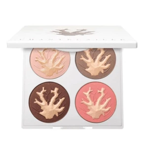 Chantecaille The Coral Reef collection limited edition - Picture 1 of 6