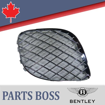 Bentley Continental 2006-2012 OEM NUEVA parrilla FR RH inferior Foto 1 de 4