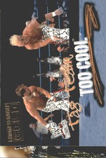 2001 Fleer WWF Wrestlemania Championship Gold #81 I Pity the Fool