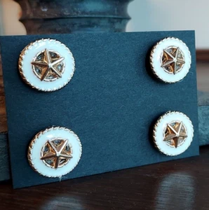 Western Star Horse Show Magnetic Pins . Western, Halter, Hat magnetic pins - Picture 1 of 6