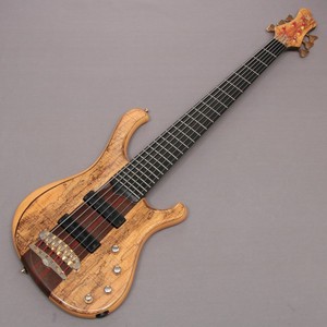 Ion Acoustic Guitar | Reverb
