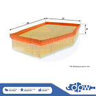 Fits BMW 5 Series 6 Z4 2.0 2.5 2.8 3.0 4.4 + Other Models Air Filter DPW
