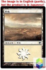 Magic: The Gathering MTG Jpver Foil Plains (232) SOM Basic Land