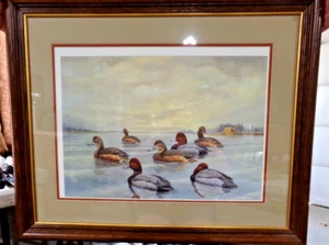 Signierter Andrew Kurzmann Ente Kunstdruck offene Ausgabe 27" x 23" Top Zustand - Bild 1 von 6