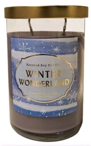 Opalhouse Kerze Winter Wonderland duftendes ätherisches Sojaöl 21,5 Unzen Glas - Bild 1 von 7