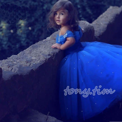 Flower Girl Pageant Dresses Formal Ball Gown Princess Party Prom Birthday Custom - Image 1 of 4