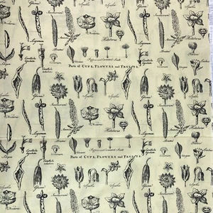 Botanical Seed Pods Vintage Style Art Journal J. Wecker Frisch Flower Study BTY - Picture 1 of 5