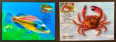 SET RARE Cardmaximum MAXI CARDS Ukraine EUROPA Underwater Fauna and Flora 25.06. - Image 1 of 4