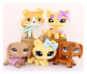 5PCS Pet Shop LPS Dogs and Cats Collectable with lps Accessories Great Gift Rare - Picture 1 of 4
