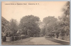 Ledyard Street Cazenovia NY c1920 Street Scene Albertype Postcard Unposted - Picture 1 of 2