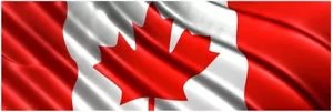 Envolturas de calcomanías gráficas de vinilo para portones traseros de camiones con bandera canadiense - Imagen 1 de 1