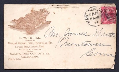 US 1894 ADVERTISING MOUNTED HORNED TOADS & TARANTULAS PASADENA, CAL. COVER - Image 1 of 2
