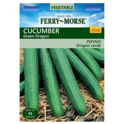 Semilla híbrida Ferry Morse pepino dragón verde semillas sin quemaduras vegetales transgénicas Foto 1 de 4