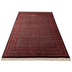 Amma Carpets Hand Knotted Rug For Living Room Traditional Luxury Royal Look