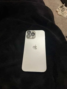 iPhone 13 Pro Max 256 Go débloqué - Photo 1 sur 3