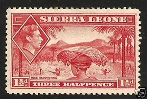 Sierra Leone #175 Sehr schön MLH - 1938 1 1/2p Reisernte - Bild 1 von 1