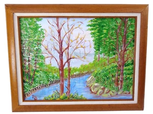 Mountain Stream Landscape Brunner Framed Acrylic 19.25" x 15" Nature Outsider - Imagen 1 de 4