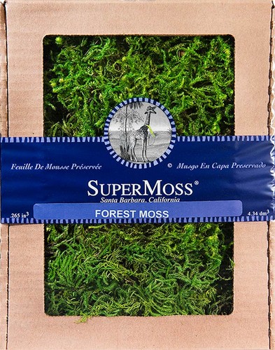 SuperMoss Pflanzbares Vogelhaus – 35,6x33 Cm, Aus MossVine, Mit Kette