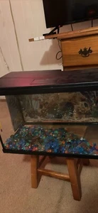 Medium Size Fish Tank  - Picture 1 of 2