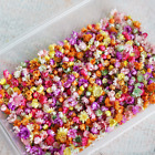 Real Dried Press Flowers Candle Making Craft DIY for Resin Jewelry Making Decor
