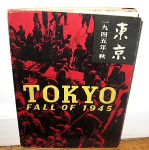 Ihei Kimura Tokyo Fall of 1945 Shunkichi Kikuchi WWII Japan War Photographs DJ - Picture 1 of 1