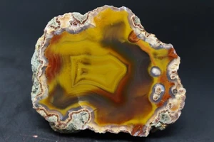Condor agate collector specimen - Picture 1 of 4