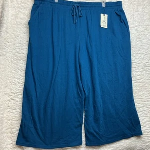 Terra&Sky Knit Pant Cpri Baby Turq Size 3X (24W-26W) With Pockets NWT - Picture 1 of 15