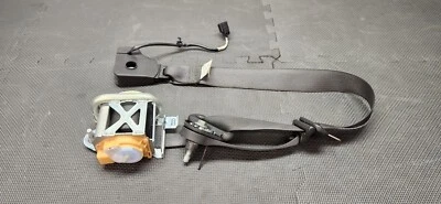 2015-2017 福特野马 GT Coupe 右握乘客安全带 原始设备制造商 — 第 1/4 张图片