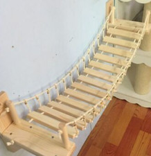 cat ladders for sale