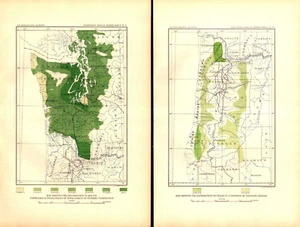 2 maps WESTERN WASHINGTON, OREGON, RED FIR, CEDAR Antique forestry map 1899 - Picture 1 of 3