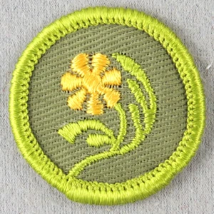 BOTANY 1961-1968 Type F Rolled Edge Khaki Twill Merit Badge - Picture 1 of 1