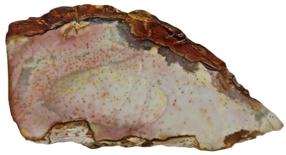 Pink Willow Creek Jasper Some Yellow w/ Red Spots 79gm Gem Lapidary Cabbing Slab - Image 1 of 1