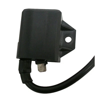 Coil Sgr Derbi PADDOCK 50 1998 1999 - Image 1 of 4