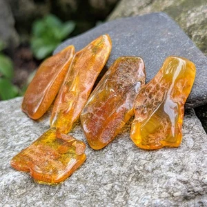 Lote de 5 piedras ámbar báltico natural pulidas caramelo coñac al por mayor - Imagen 1 de 10