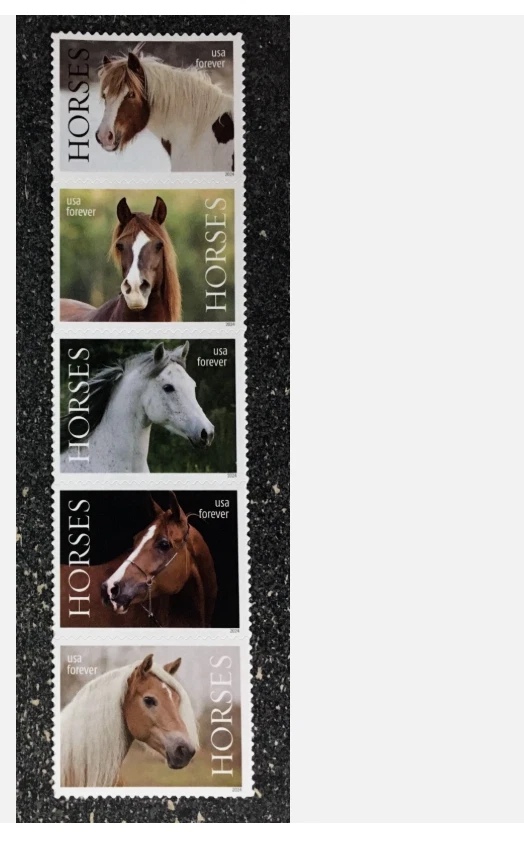 2024 Us stamps,  scott #5891-5895b Forever Horses - Strip 5, MNH - Image 1 of 1