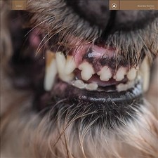 World Eater by Blanck Mass (CD, 2017)