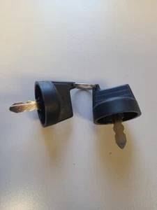 Mini Excavator Spare Key set for AGT Agrotk QH H12 LRT23 Skid Chinese Mini 1 ton - Picture 1 of 1