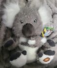 Little Brownie Bakers Girl Scout Koala 10” Plush W/ Baby In Pouch & Samoa Cookie