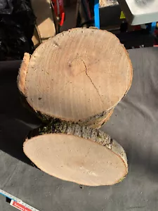 Holzscheiben rauh 10 Stk Tanne 15-18 cm - Bild 1 von 3