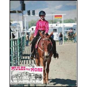 Mules and More - Jul. 2012 Vol. 22 Issue 9 (Back Issue Magazine) - Bild 1 von 2