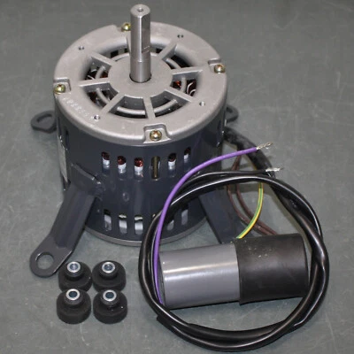 Dayton Electric Motor 2JFF9A, 1/6 HP, 115V AC, OAO, 1PH, 48YZ, 9/16", for 1XJX7 - Image 1 of 4