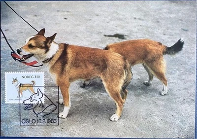 Norway FDC Year 1983 Dogs  3 different Maxicards - Image 1 of 4
