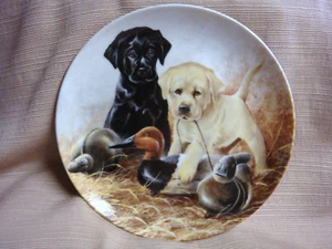 "Perfect Set" LABRADOR RETIEVER PUPS Collector Plate LYNN KAATZ - 1988 - Knowles - Picture 1 of 6