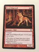 Feral Ridgewolf (EX) - Innistrad - MTG Red Common