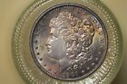 1901-O Morgan Silver Dollar Spectacular Toning Pq Old Album Coin Ms++++