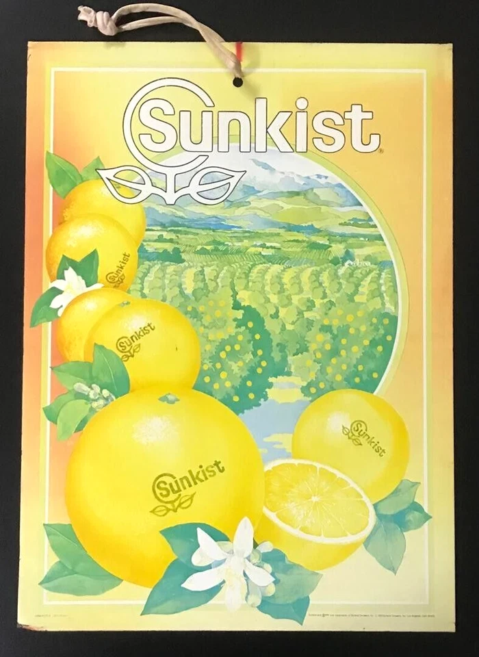 Mazuma *NP33 Sunkist Iron Advertising Cardboard Sign Size 35cm x 47.8cm - Image 1 of 4