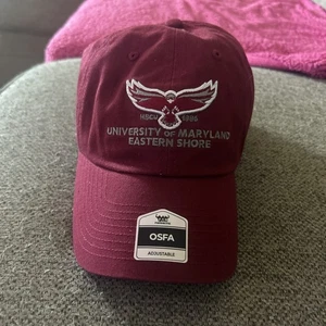 UMES University of Maryland Eastern Shore Hawks Adjustable Hat - Picture 1 of 4