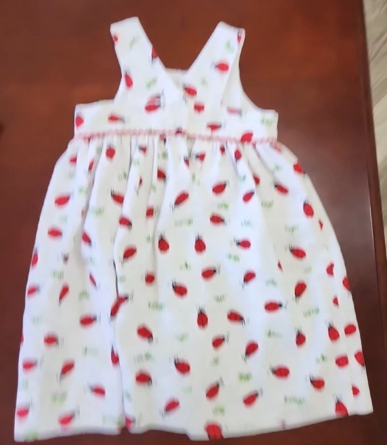 Kelly's Kids 3T Lady Bug Spring Dress - Image 1 of 1