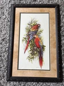 Gerahmtes und mattiertes Paar Aras im Strauch, 23 x 15 Zoll Wandbild - Bild 1 von 11